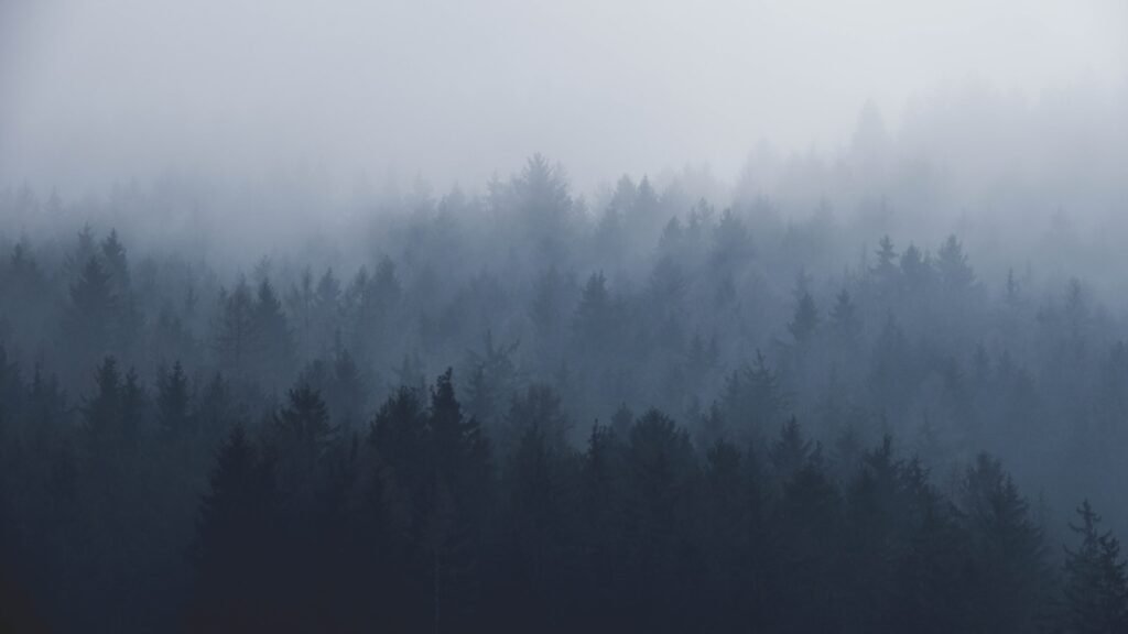 A lone figure in fog, symbolizing the disorientation of gaslighting