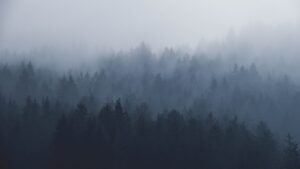 A lone figure in fog, symbolizing the disorientation of gaslighting